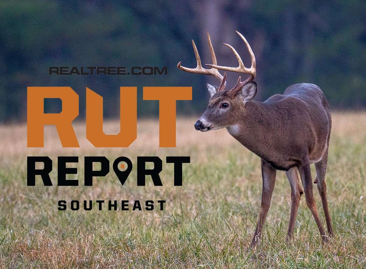 The Lull Seems Real … But it's Getting Better - Realtree Camo