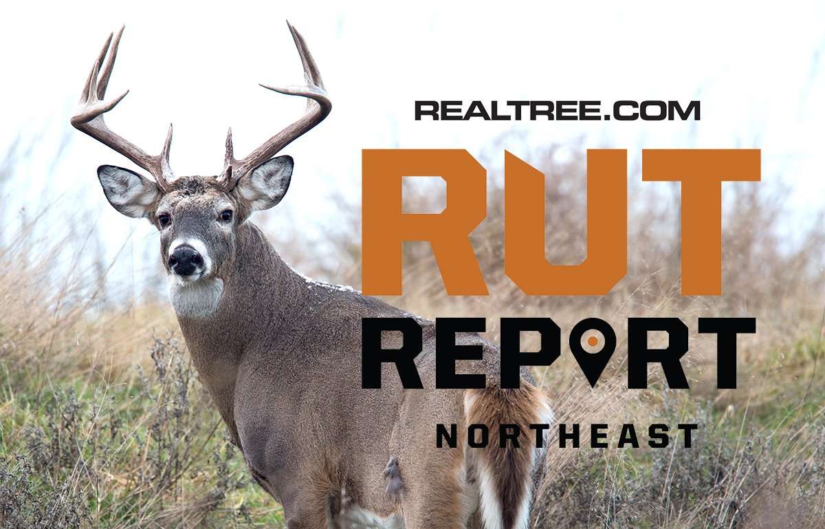 The Rut Wanes, but Opportunities Still Abound in the Northeast - image_by_william_t_smith-ne