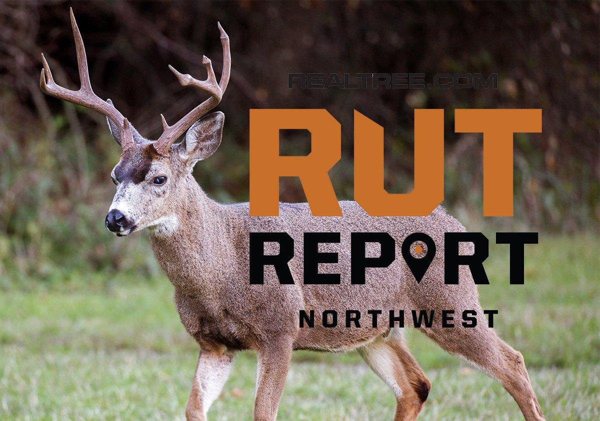 Northwest Rut Report Grab Your Gun and Get Out There Realtree Camo