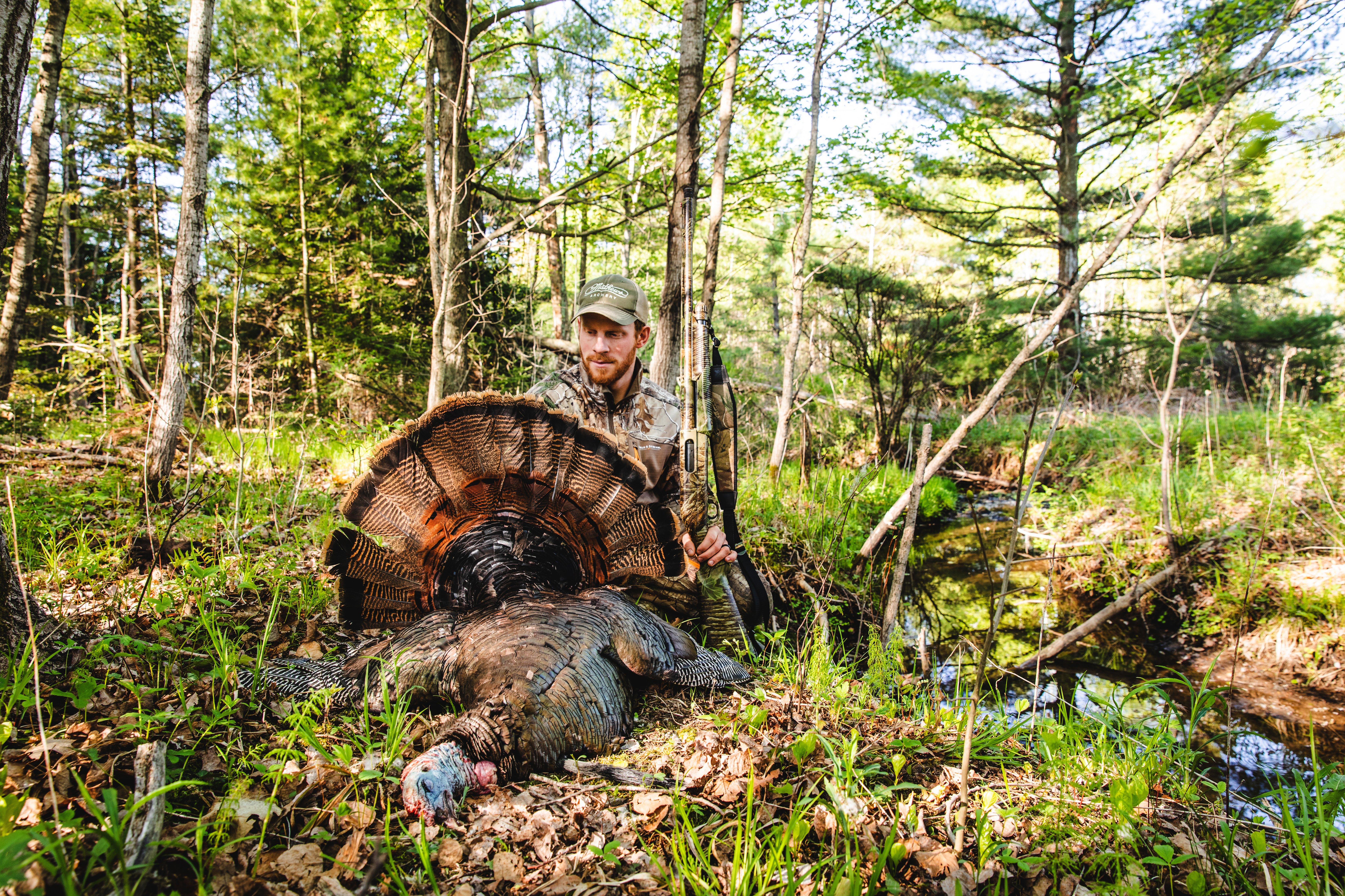 Author Darron McDougal nailed this gobbler not far from the pavement after diving off a parking area where no one else had been hunting. Image by Becca McDougal