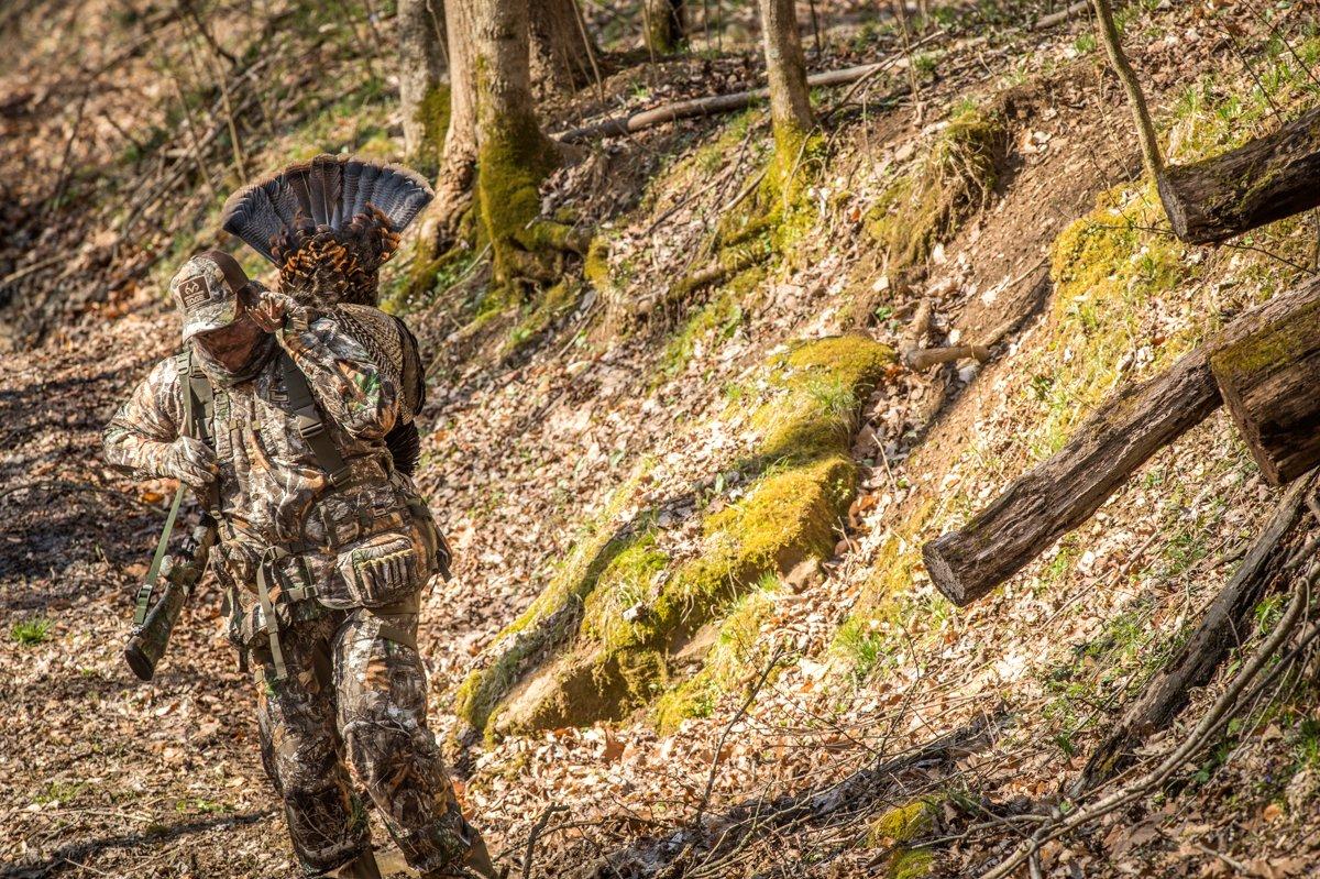 Deciding when to move on a turkey — and when not to — is no small decision. Image by Bill Konway