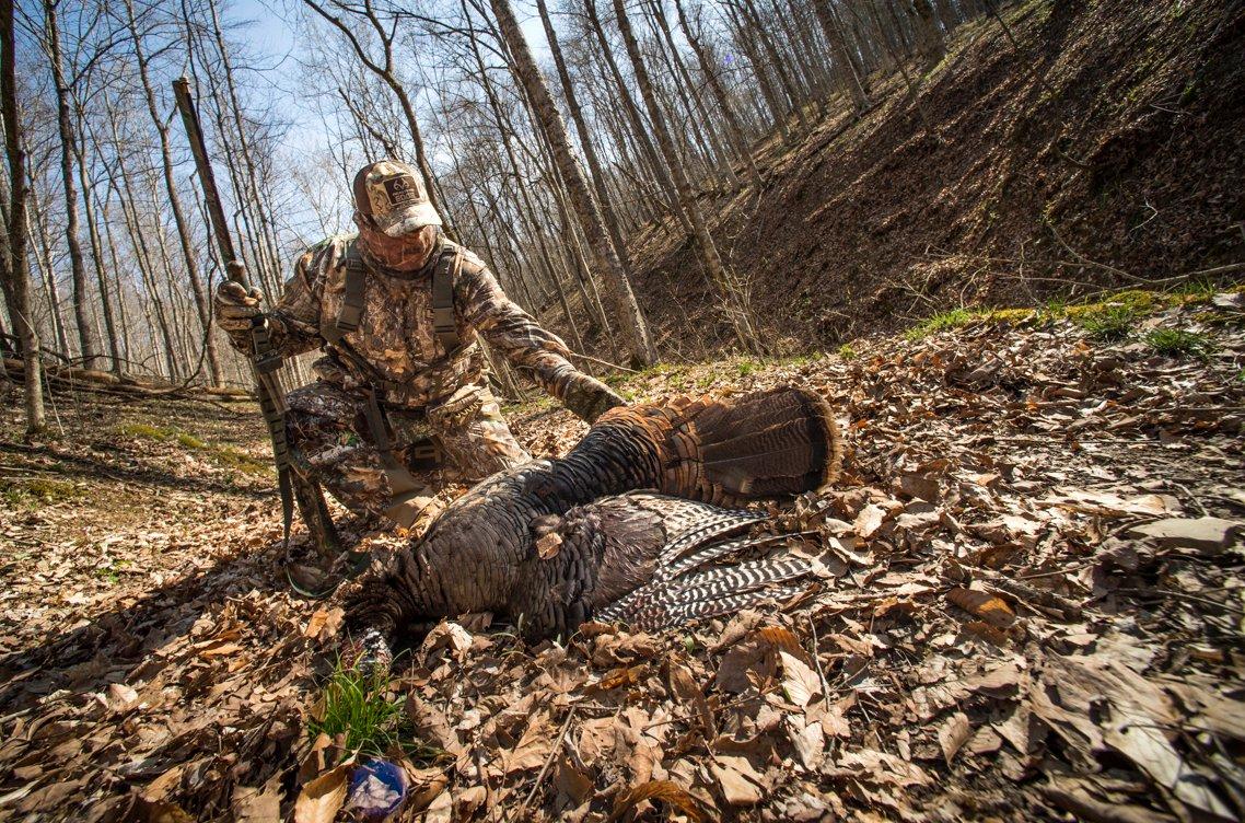 A harvested bird doesn't come easily, but with carefully executed tactics, it's certainly possible. Image by Bill Konway