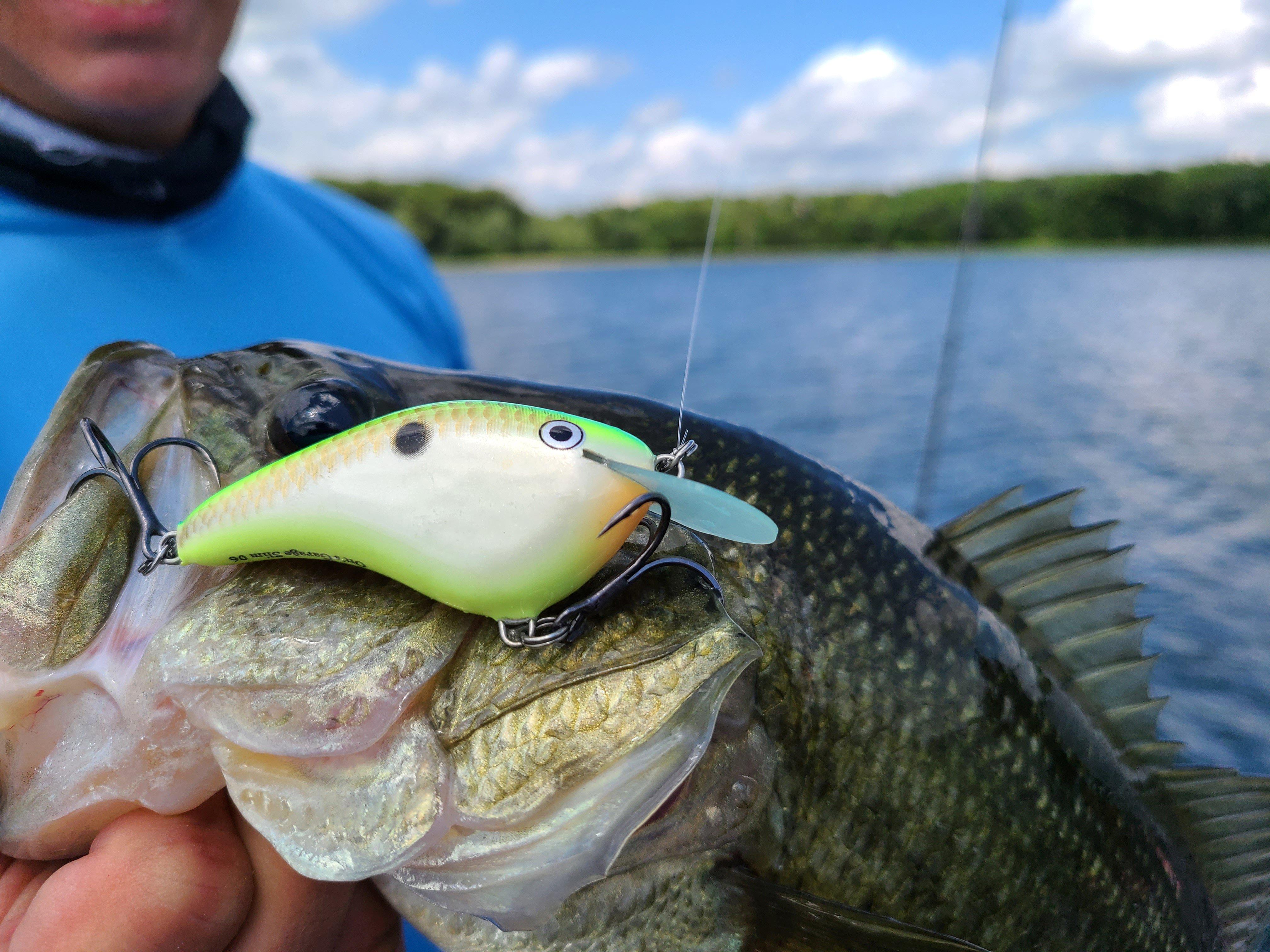 Flat-sided crankbaits mimic dying shad, a favorite food of early spring bass. Image by Rapala