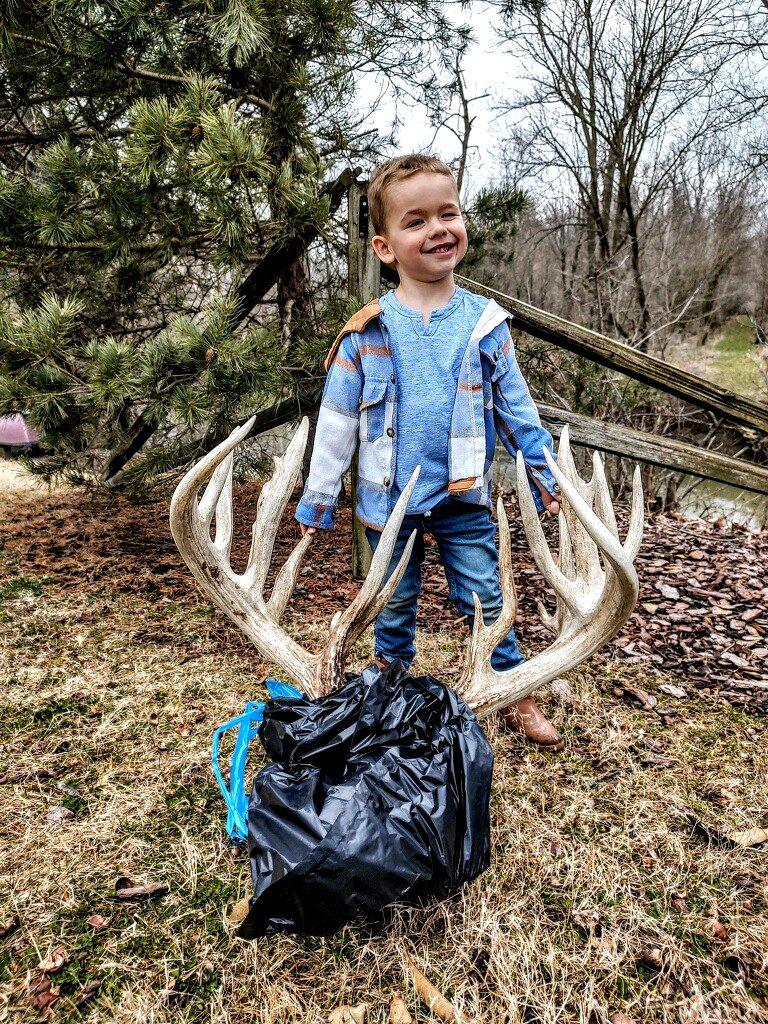 Young Rhett Boucher was out spending a day on the farm with his grandfather when he found the deadhead. Image by Toby Hughes