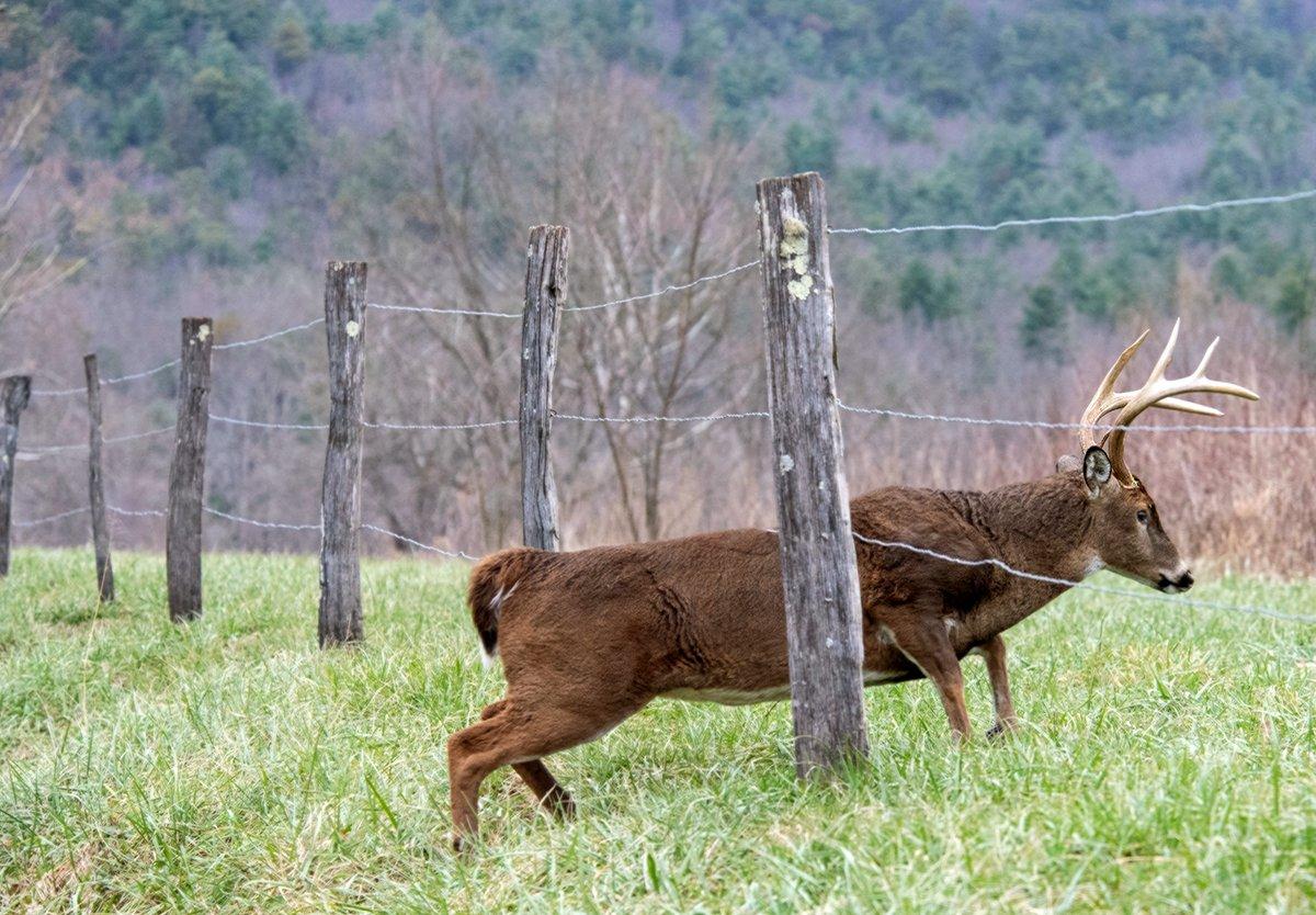 When is it OK to Hunt a Property Line? - Realtree Camo