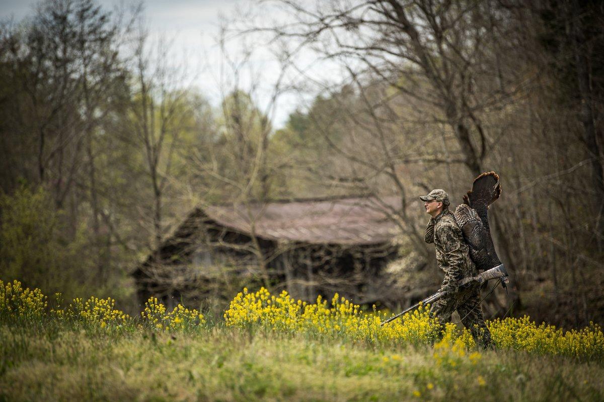 Early season often sees flocked up birds that won't leave their hens, but gobblers haven't been pressured. Image by Bill Konway