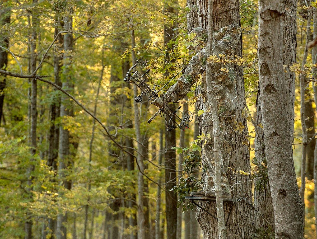 It's possible to over-hunt a stand, but don't miss out while the action's good. Image by Bill Konway