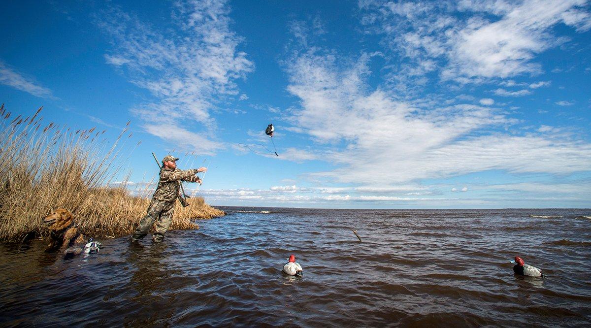 Puddlers and divers together? Sure, if the situation is right. Set your blocks accordingly. Photo by Bill Konway