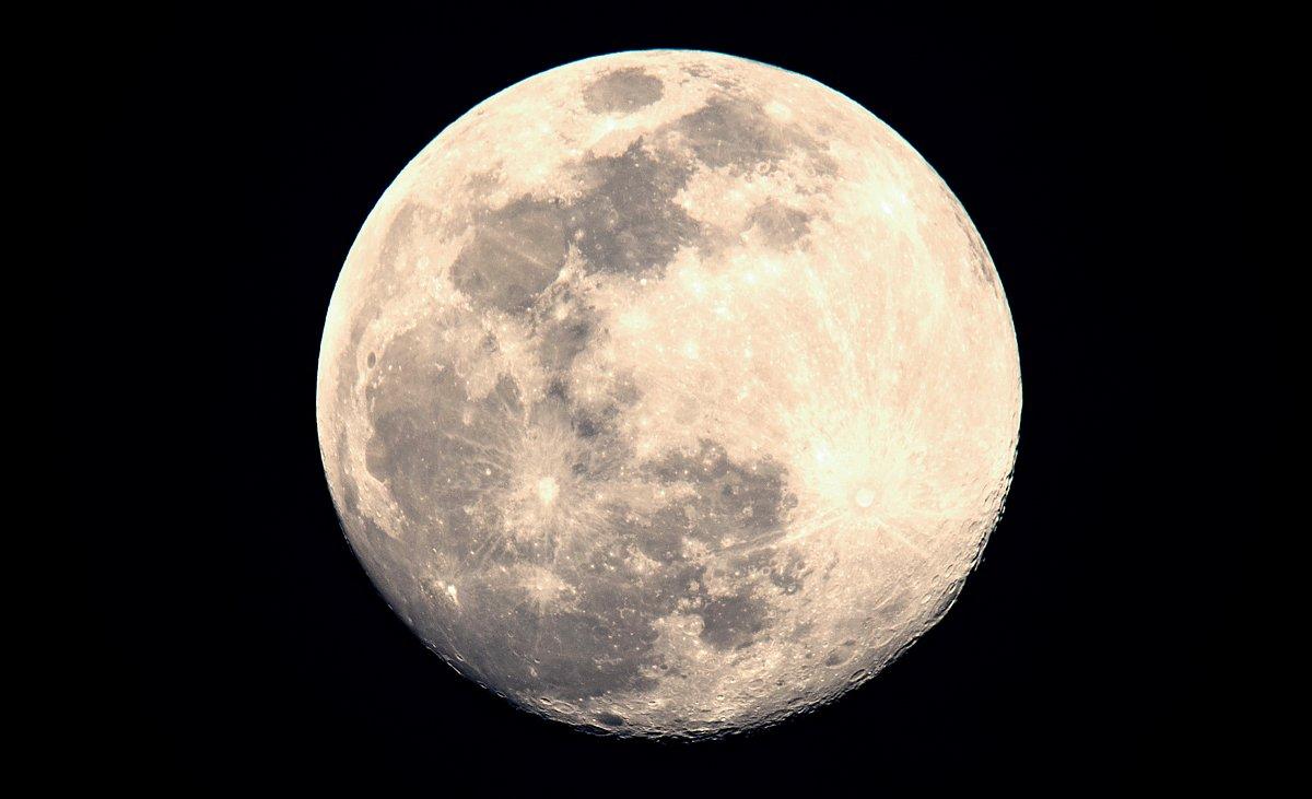 Midday hunting can be outstanding under a full moon. Image by Bill Konway