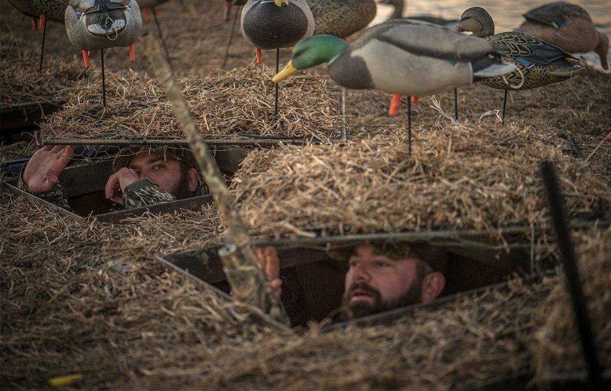 goose hunting blinds