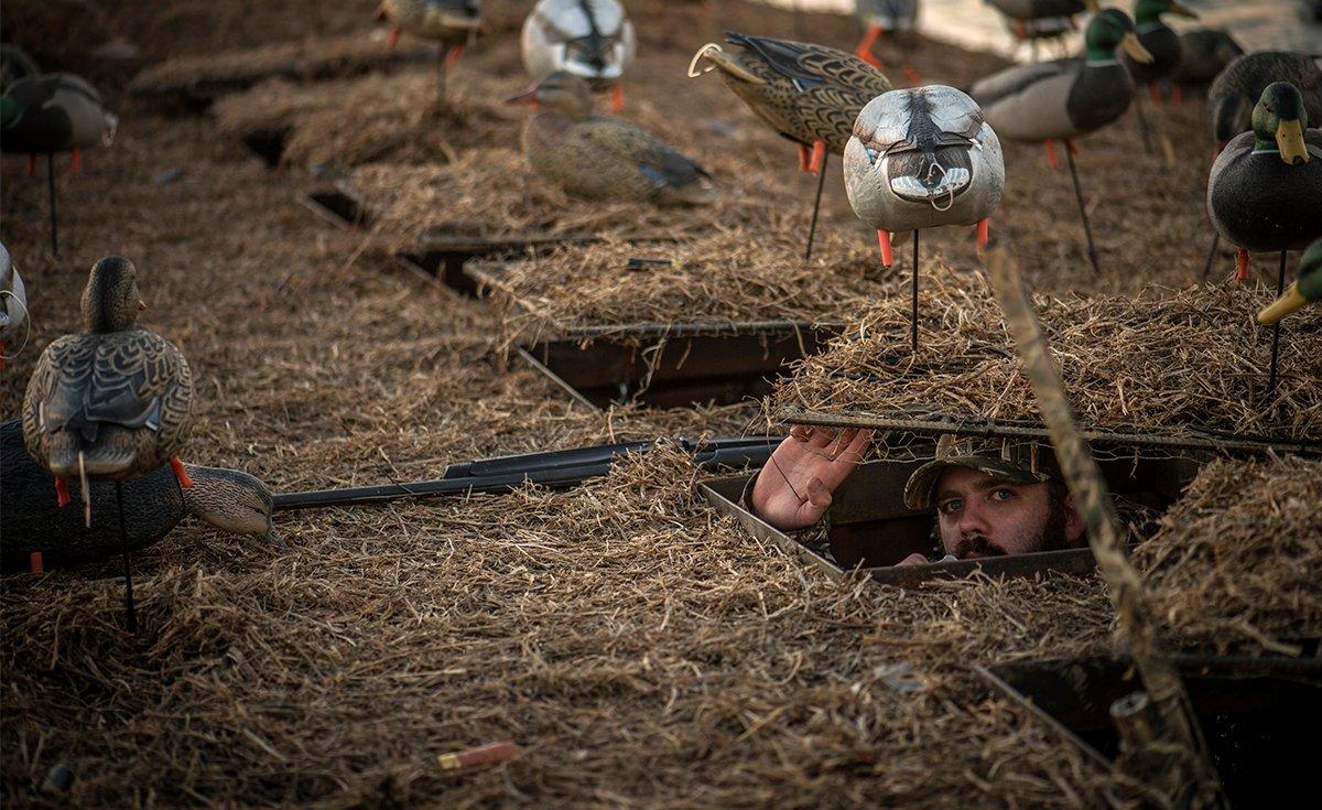 There are numerous factors involved that culminate to make a great duck field and pit blind. Image by Bill Konway