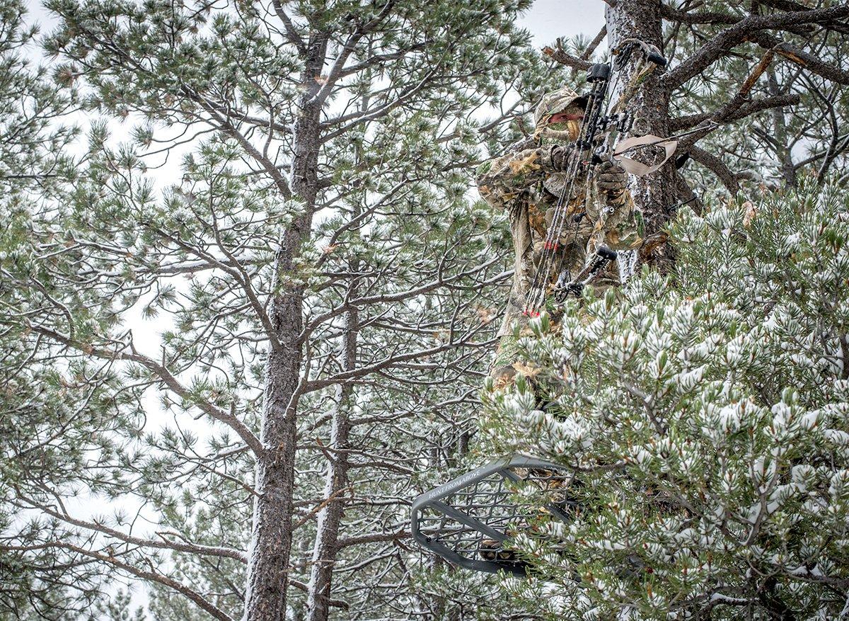 Making sure your treestand has plenty of cover is very important after leaf fall. Image by Bill Konway