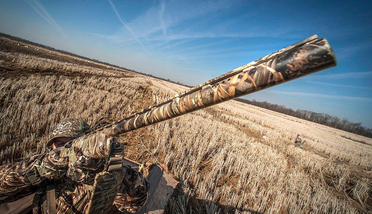 A great hide will help you shoot more geese. Image by Bill Konway