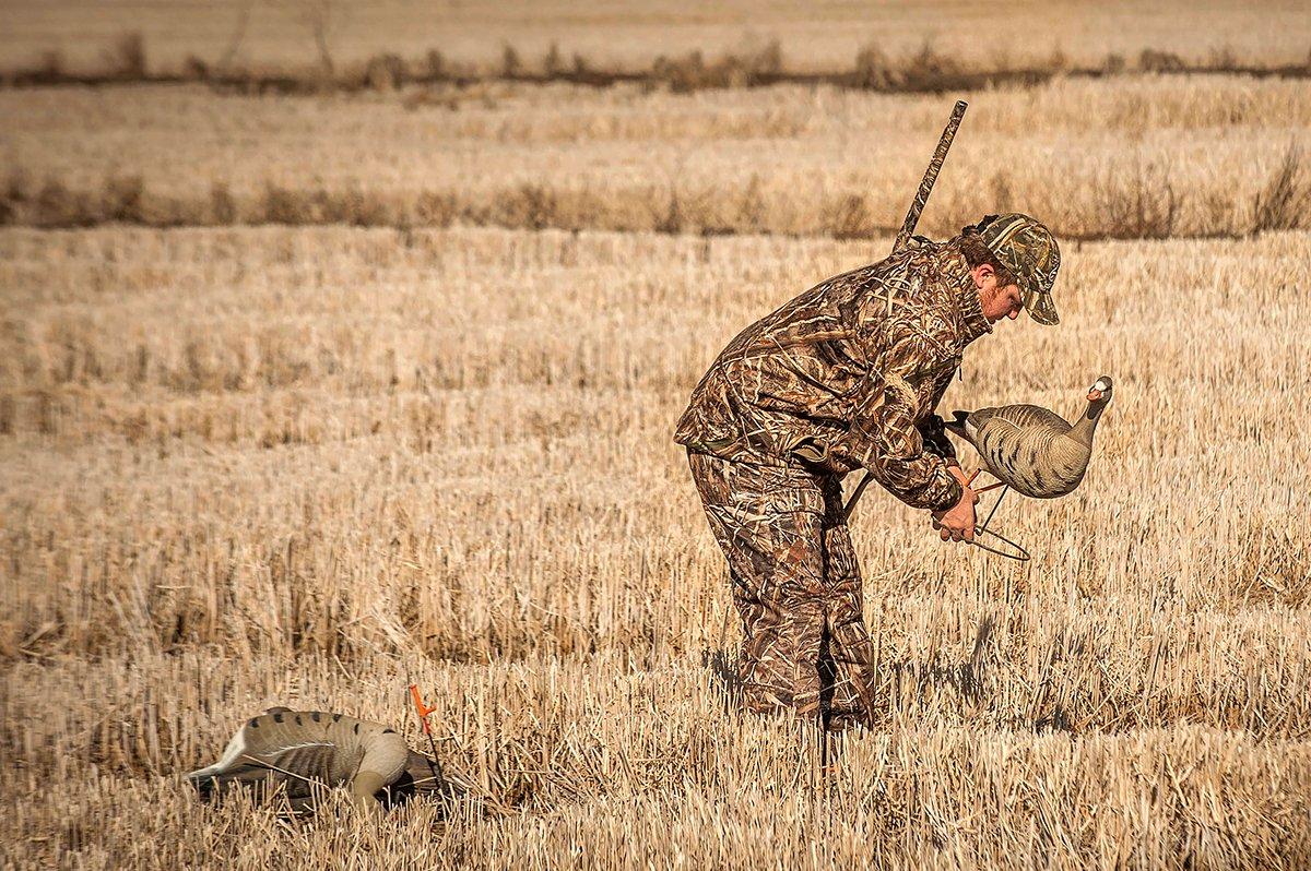 Perfect your decoy spread to dupe more birds. Image by Bill Konway