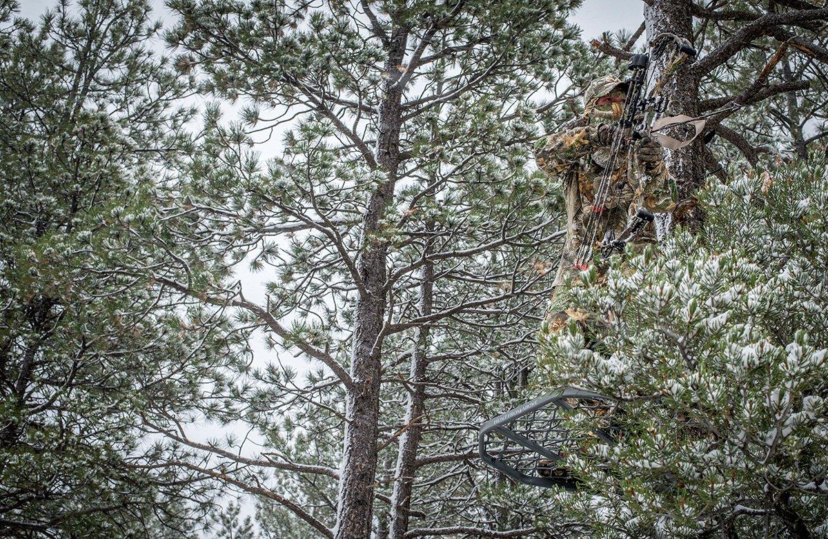 Some treestand names are pretty catchy. Image by Bill Konway