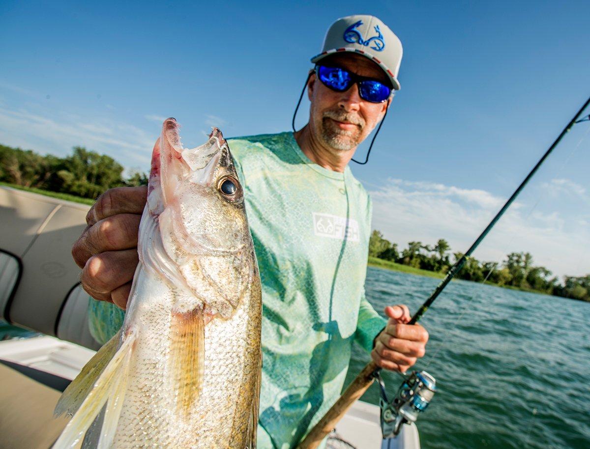 No doubt about it, the walleye is a Midwestern icon. Image by Bill Konway