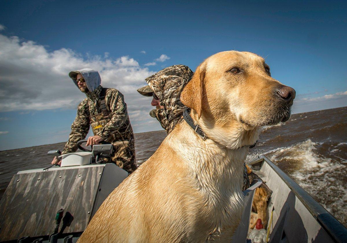 Hunting diving ducks on big water is fairly straightforward, but subtle considerations greatly affect success. Photo by Bill Konway