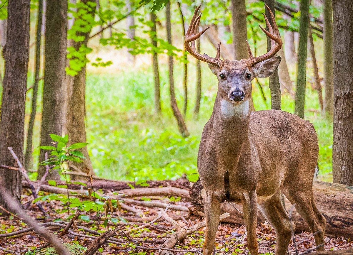 In some ways, the Southeast is miles ahead of where it was decades ago. But it's declined in other ways. Image by Shutterstock / Bruce MacQueen