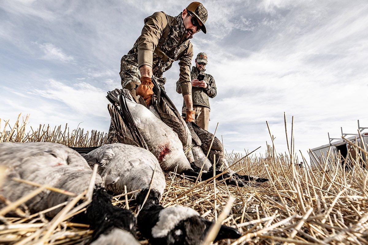 American hunters already in Canada might face a nasty surprise when trying to bring birds home. Photo by D. Piercy/americanlandmaster.com