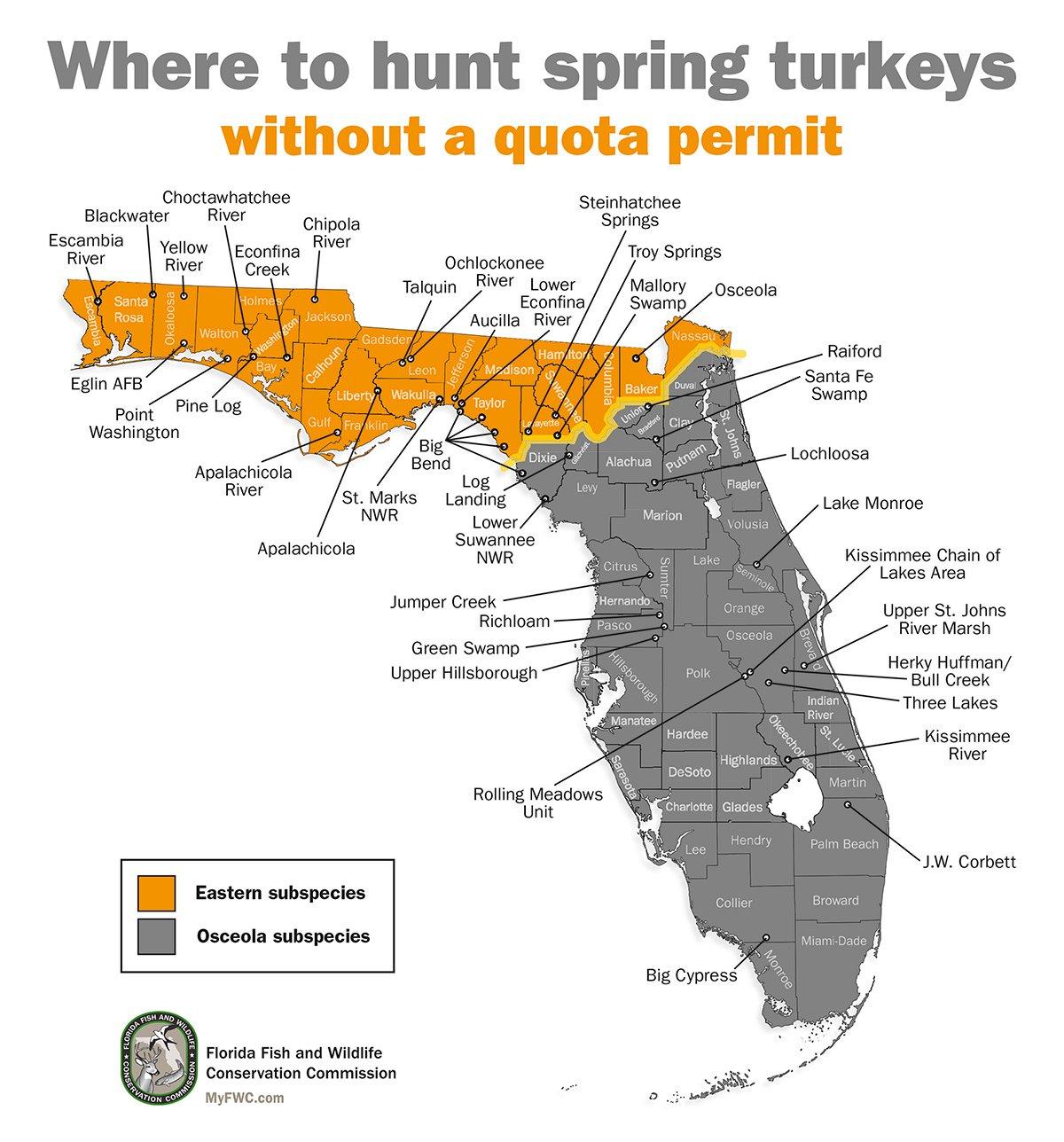  Some public lands allow spring turkey hunts with a quota permit; some without it. Image by Florida Fish and Wildlife Conservation Commission