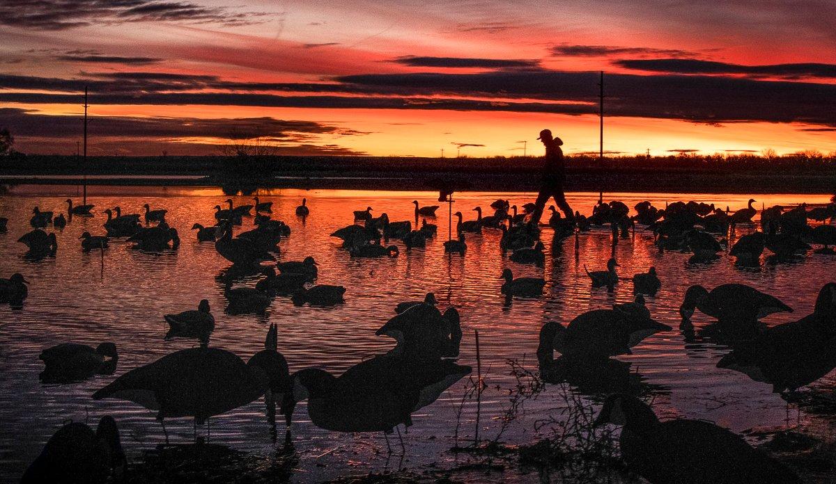 duck hunting sunrise pictures