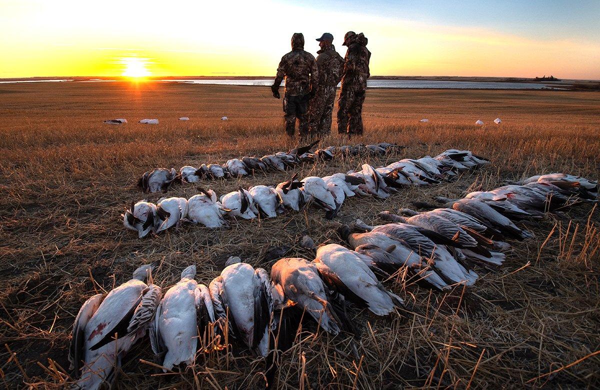 Booking with a poor guide can ruin a spring goose hunt. But with so many choices, finding the right outfit can be confusing. Photo by Forrest Carpenter