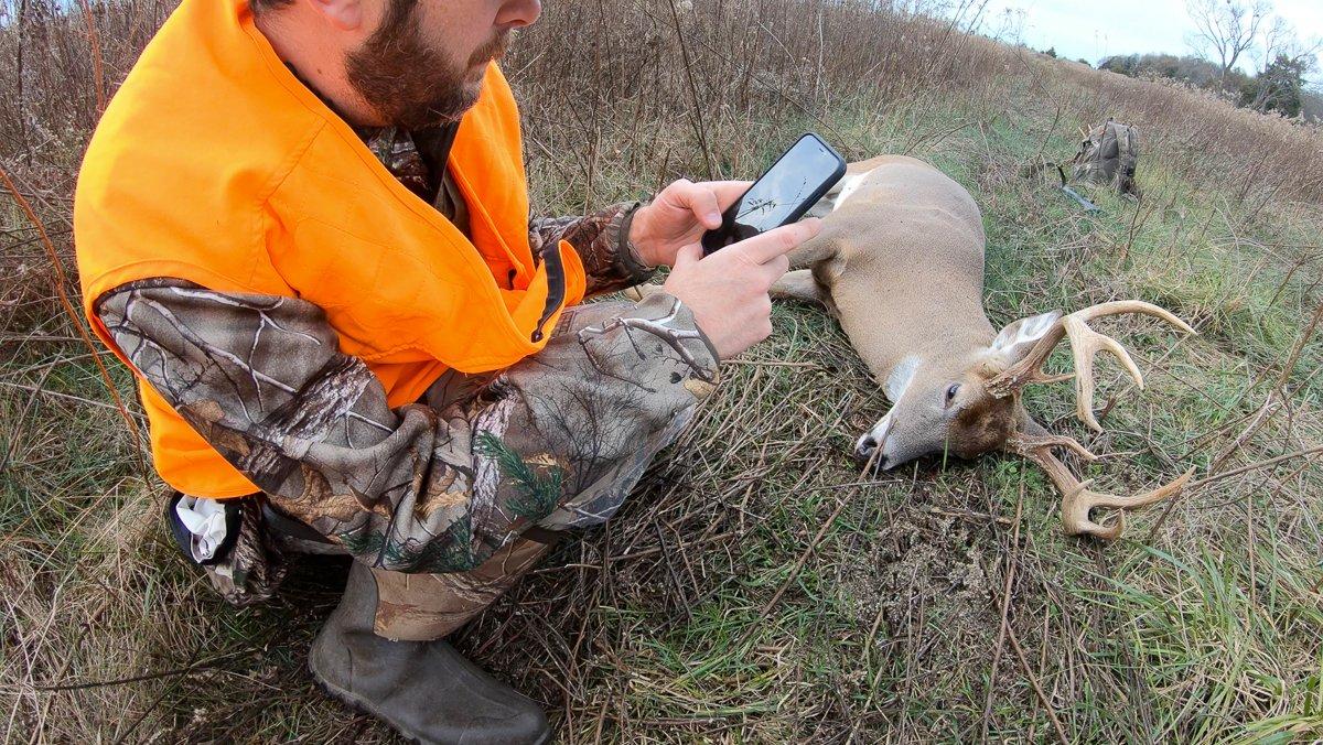 Whitetails hunker down when the guns start booming. Image by Honeycutt Creative