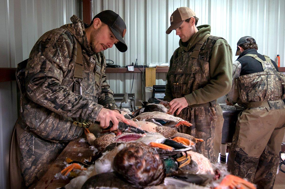 Game birds must meet several conditions for hunters to import them from Canada. Photo by Austin Ross