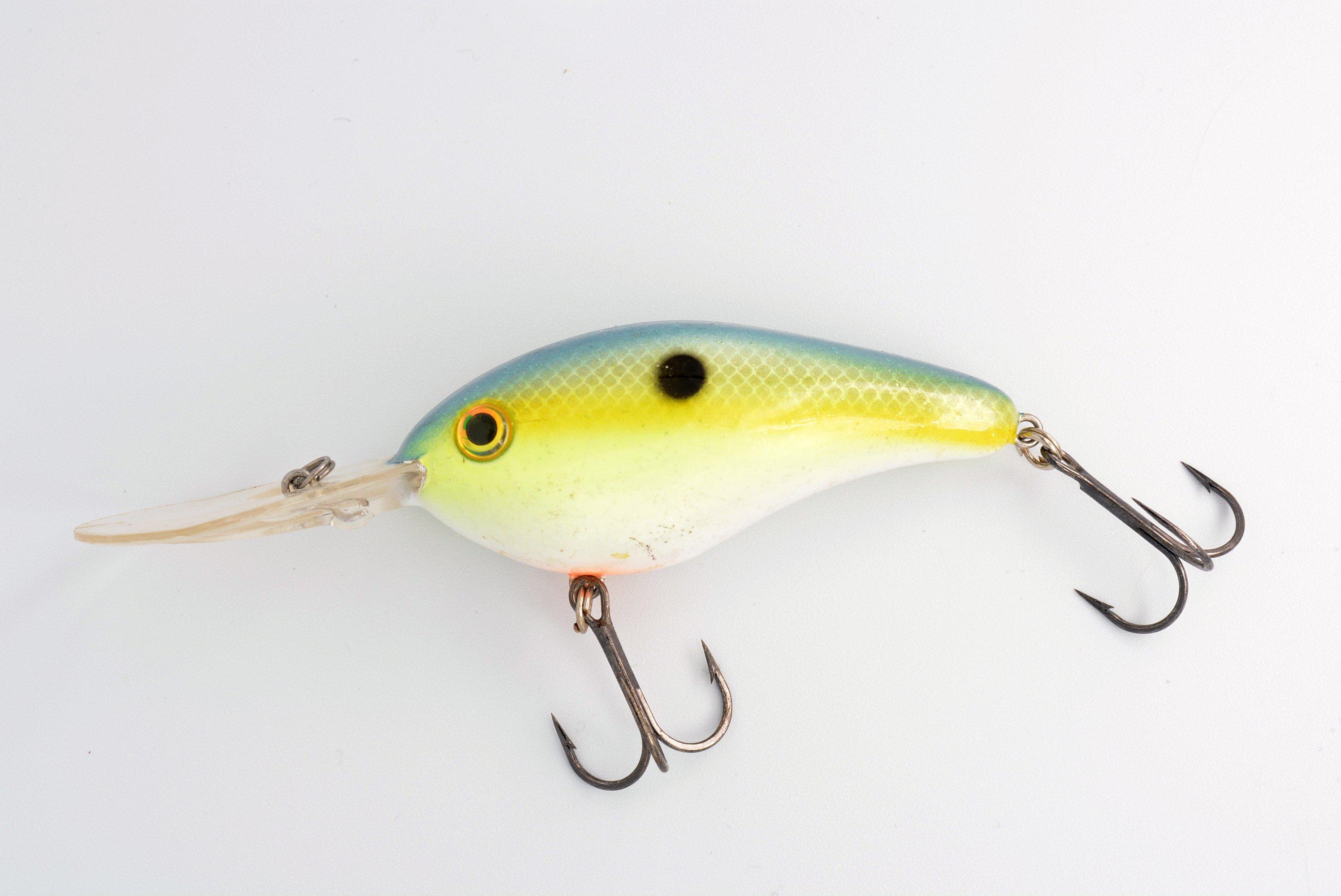 What TOPWATER Lure Is BEST For Bass Fishing?? (Topwater, 55% OFF