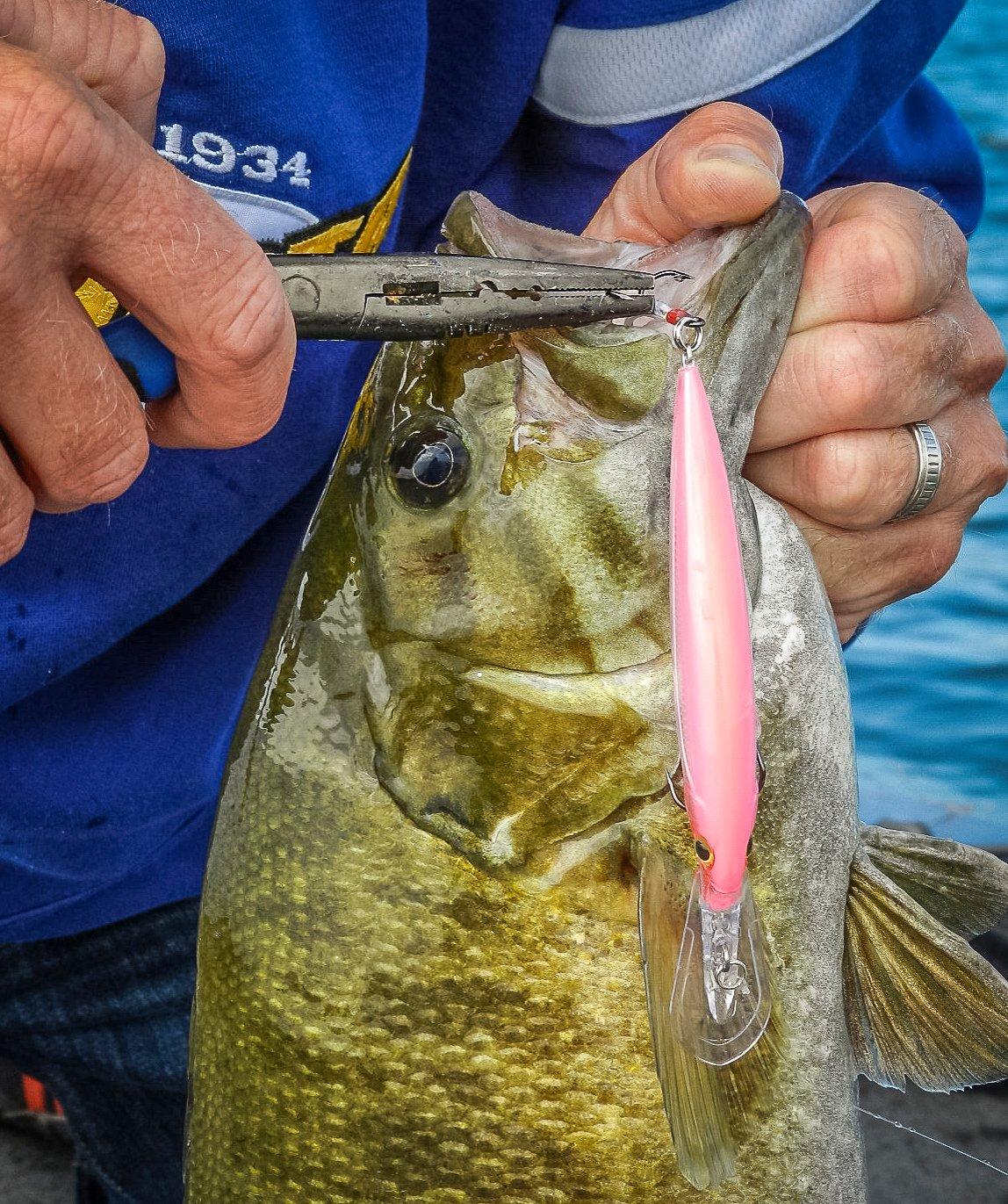 Deep-water smallmouths can be caught by using cranks, jerkbaits, grubs and drop-shots. Image by Joe Balog