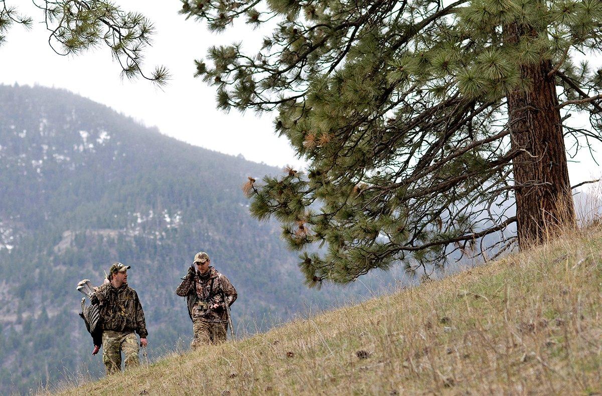 Cover some ground, often much of it steep, to find these Western birds. Image by John Hafner