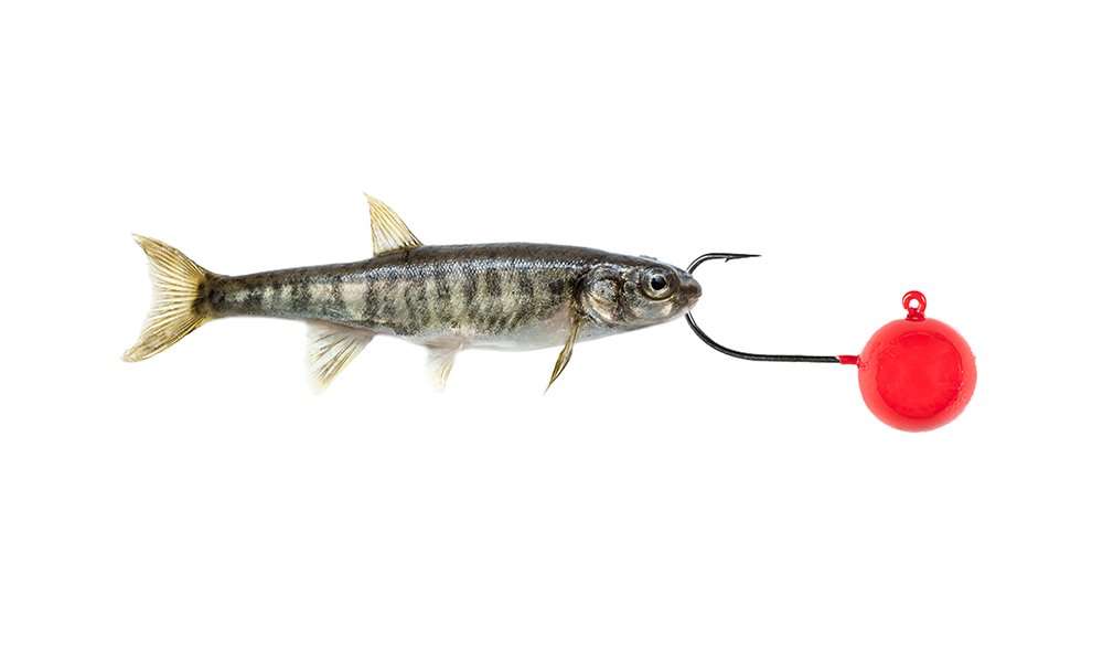 The 10 Best Baits for Great Lakes Fishing - Realtree Camo