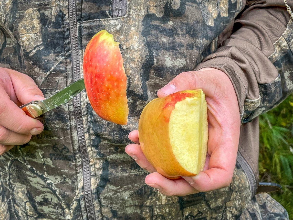 I don't know about the doctor, but an apple is a great way to keep hunger away in the deer stand.