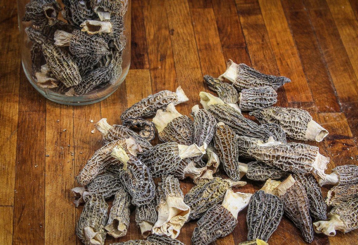Drying is a great way to preserve excess morel mushrooms.