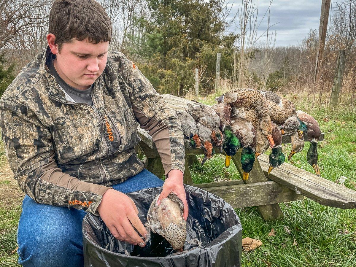 Plucking ducks is ideal when you intend to roast whole birds. For quick weeknight meals, you can simply fillet the breast meat. Photo by Michael Pendley