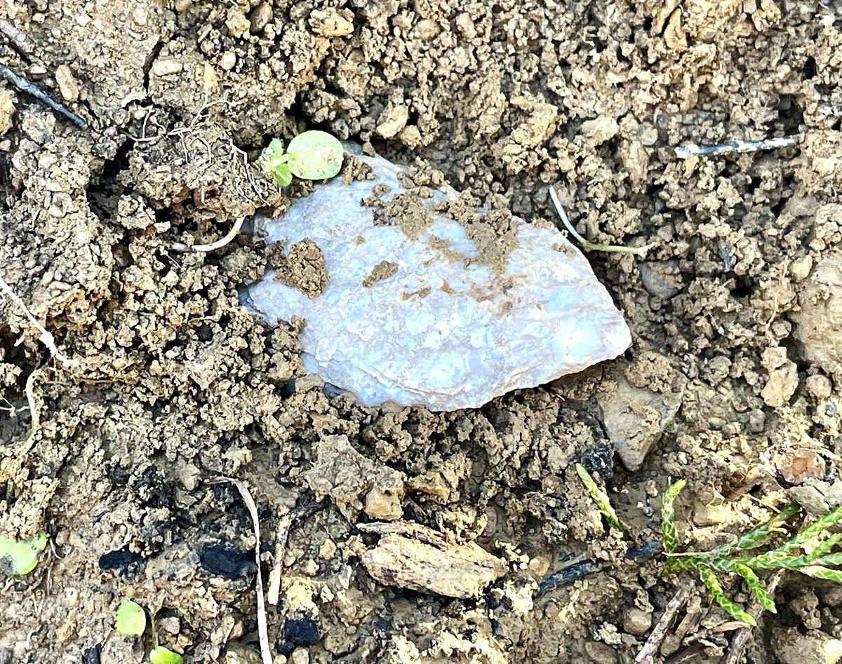 Plowed fields are top producers of points and other artifacts. Photo by Michael Pendley