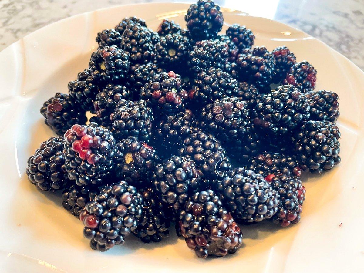 Choose the largest, ripest berries from your haul.