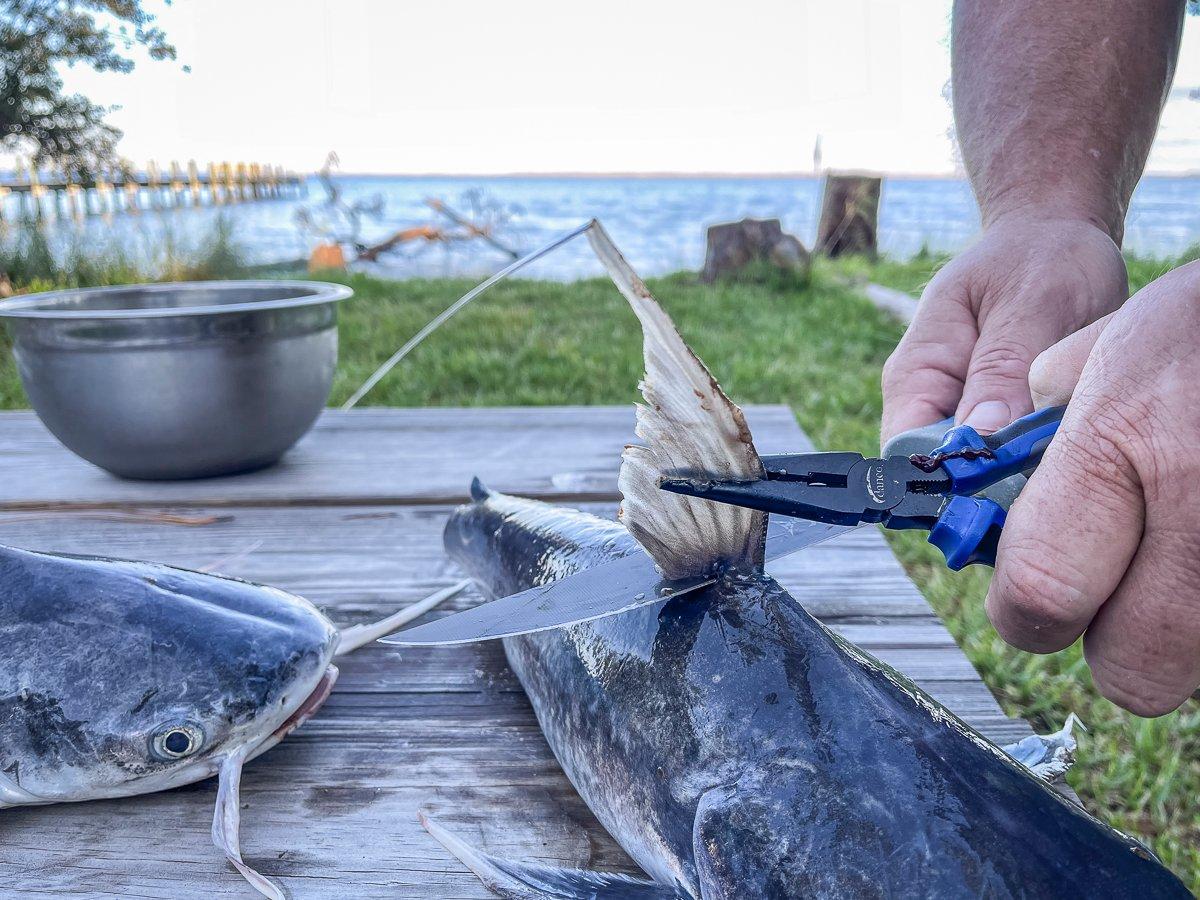 Southern Fried Topsail Saltwater Catfish - Realtree Camo