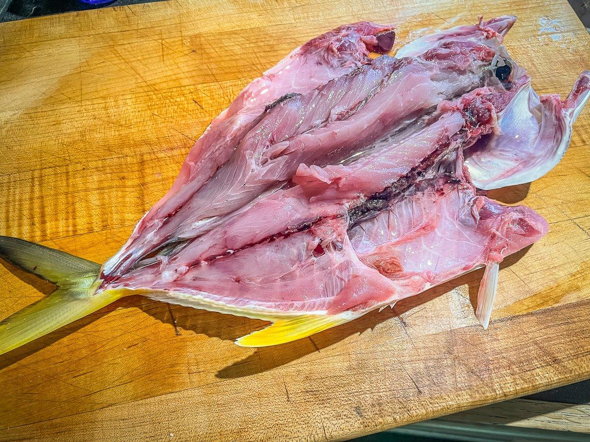 Are Jack Crevalle Fish Worth Cooking? - Realtree Camo