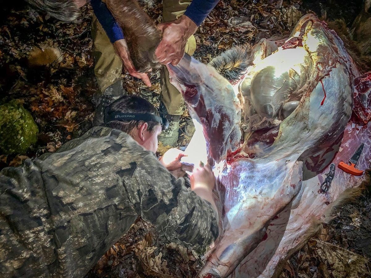With a rugged pack out and a looming rain storm, it was all hands on deck to get the bull skinned and quartered.  Photo by M. Pendley