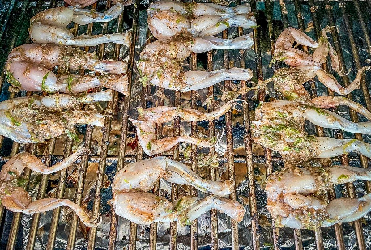 Frog Legs on The BBQ - Barbecue Tricks