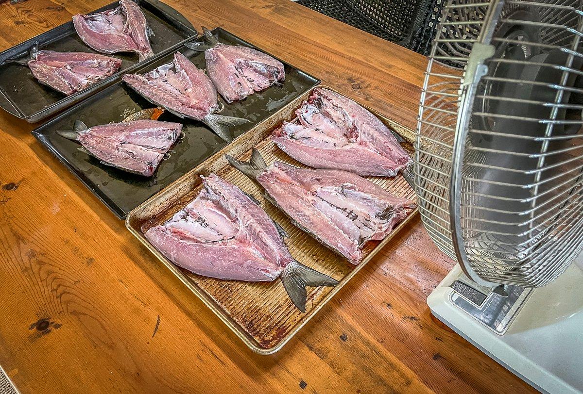 After brining the fish, allow it to dry and form a sticky pellicle before smoking.