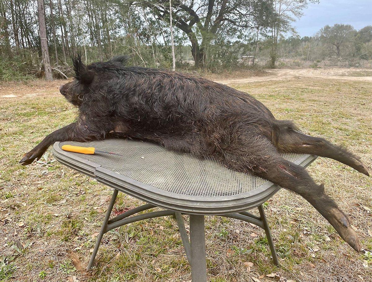 Working with the pig off the ground saves wear and tear on your back and keeps things clean.