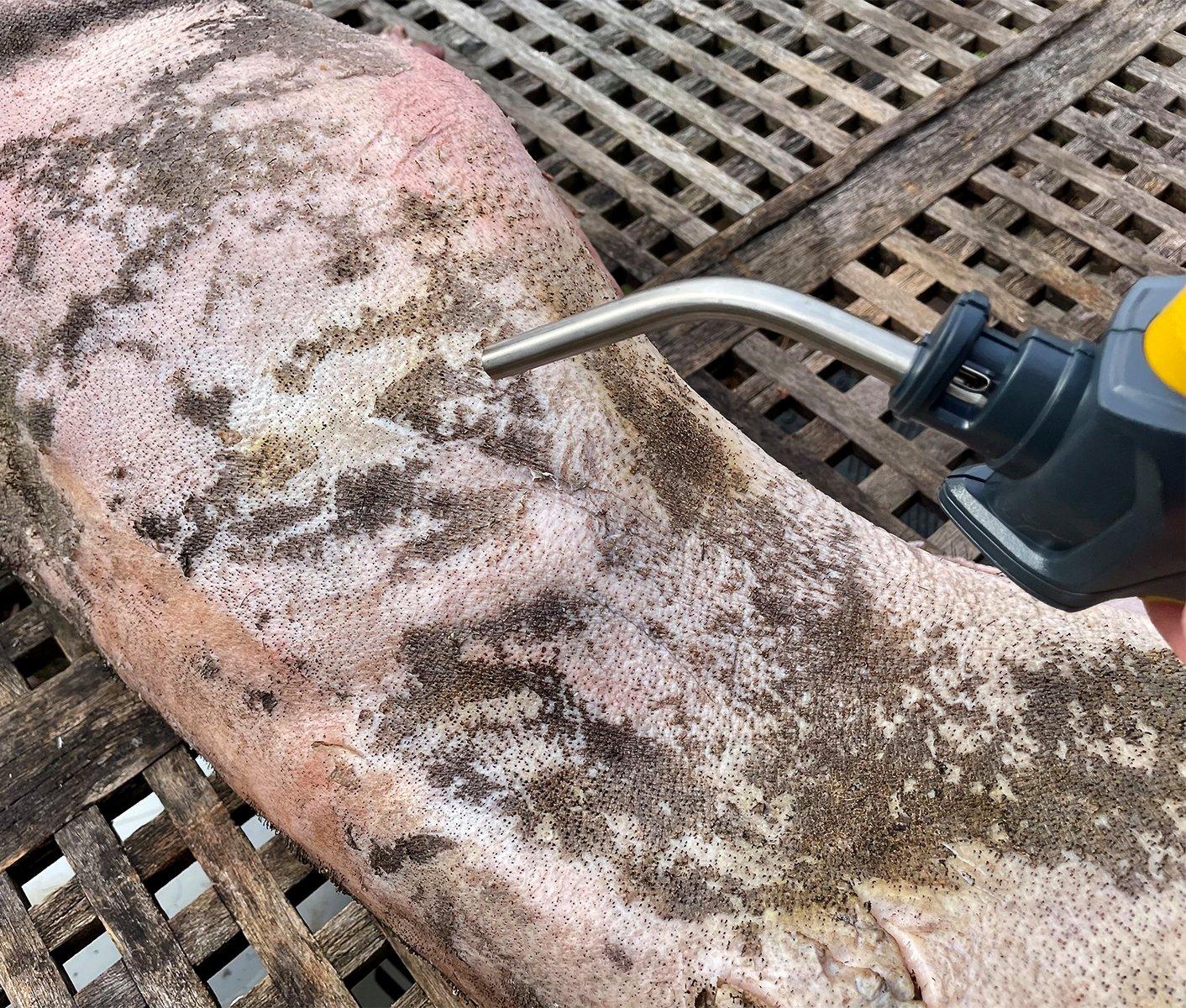 Use a torch to singe away any remaining hair or stubble.