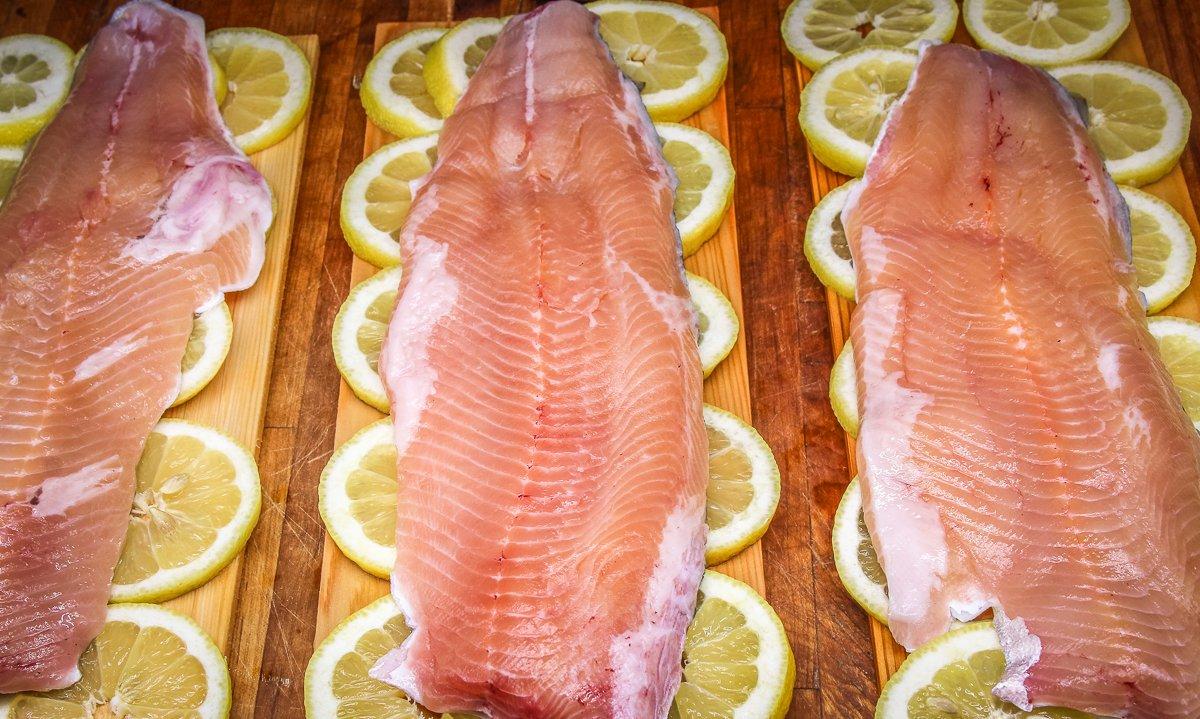 Line a cedar grill plank with lemon slices, then place one fillet on each board.