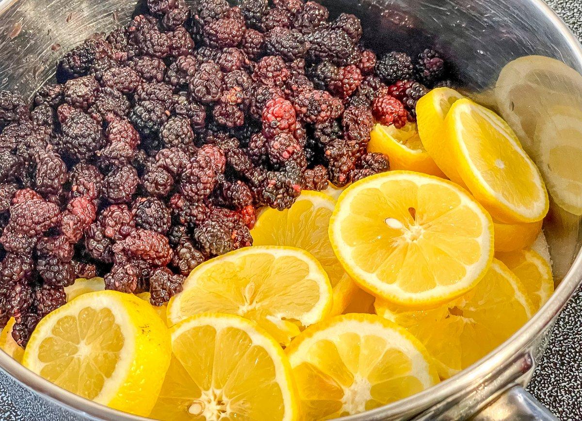 Add the sliced lemon and blackberries to a saucepan.