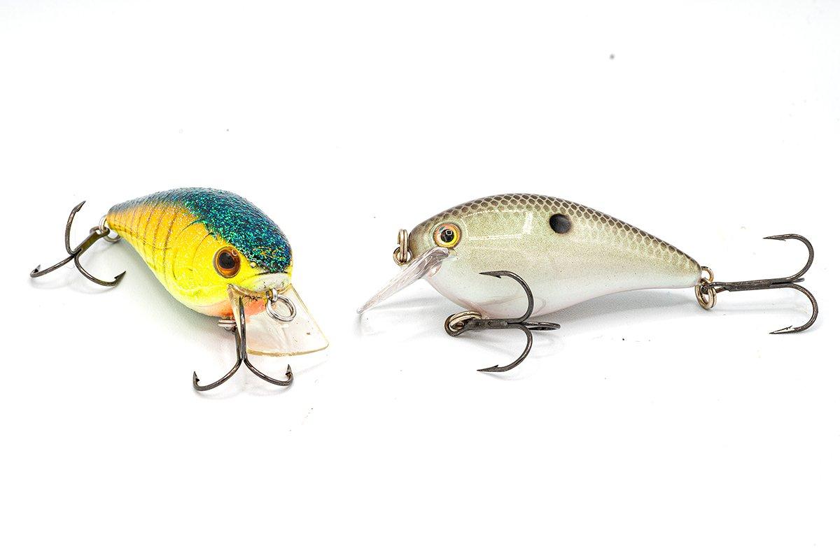 3 Deadly Fall Crankbaits And How To Fish Them - Wild Outdoor