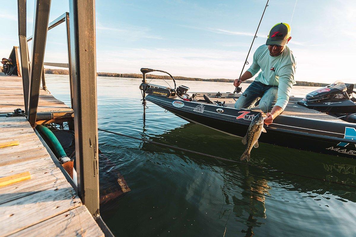 Using LIVE SHINERS As BAIT In MARINA DOCKS! (EXCITING) 