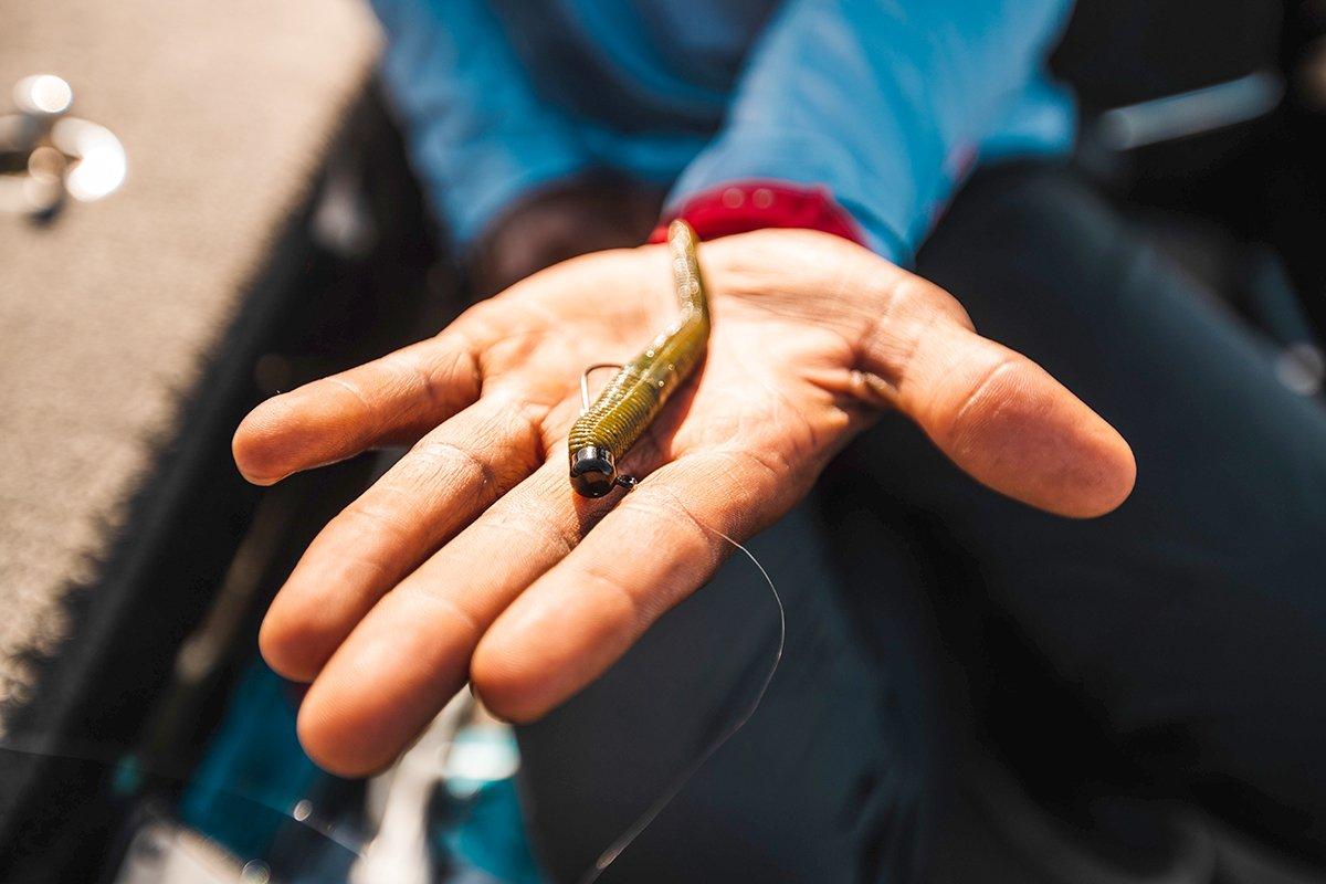 Use the right bait for the circumstances, even around docks. Image by Millennium Promotions