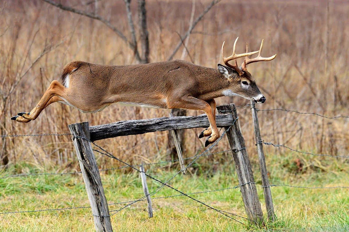 Hunting property lines is a hot topic, but it's one worth discussing. Image by Paul Winterman